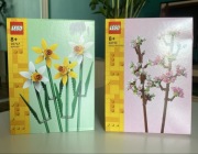 LEGO x2 (cherry blossom, daffodils)