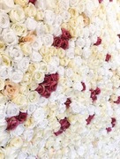 Ścianka kwiatowa ogród wertykalny GRATIS