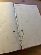 Aleksander Dumas - 20 lat później (Trzej Muszkieterowie) 1928 Starodruk