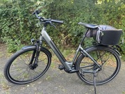 E bike Tenways CGO800s