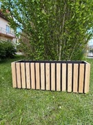 Donica ozdobna jesionowa