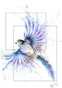 Obraz plakat akwarele ptak 30x40