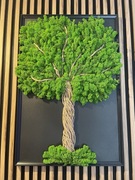 Mech chrobotek Premium drzewko 