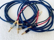 HMS Elektronik seria SSC 2x3m złącze Hicon