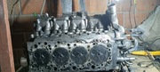 Głowica toyota Avensis T25 D4D 1CD 2.0 diesel