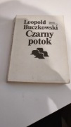 Leopold Buczkowski- Czarny potok
