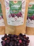 Liofilizat świdośliwy 15g