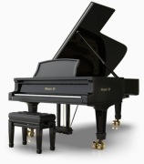 UVI D MODEL - FORTEPIAN STEINWAY PC/MAC