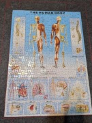 Puzzle anatomia 1000 el ciało człowieka 