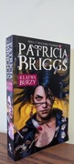 Patricia Briggs - Klątwa burzy (seria Mercedes Thompson - Tom 11)