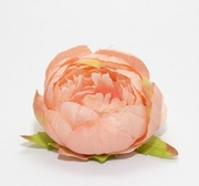 Ekskluzywna Główka Piwonii –Mocny morelowy– Premium DIY