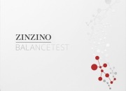 ZINZINO BALANCETEST