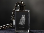 Somali Cat brelok sześcienny Świecący