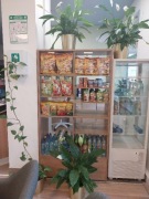 Witryna/gablota do ekspozycji towaru. Szkło hartowane 