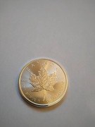Kanadyjski liść klonowy 1 uncja srebro stan monet idealny