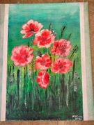 Maki Obraz na płótnie -akryl