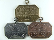 SPARTAKIADA SPORTOWA INWALIDÓW - WARSZAWA 1980