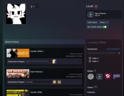 KONTO STEAM 65 GIER