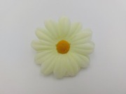 RUMIANEK, STOKROTKA, MARGARETKA - GŁÓWKA KWIATOWA WYROBOWA 6cm - 12 szt.