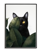 Kot "Angry Black Cat vol.4" PLAKAT A3 - Vintage, Cat - trzeci plakat GRATIS