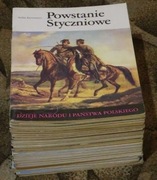 K. Olejnik Cedynia, Niemcza, Głogów... + 26 Dzieje Narodu i Państwa Polskie