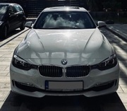 Nerki - Grill - Atrapa - BMW F30 Seria 3 Luxury Line