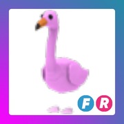 Flamingo FR | Adopt Me | Roblox