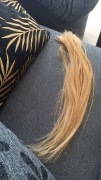 Włosy golden line hair4you 50 cm 10 kanapek