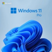 Windows 11 Pro (Klucz PL) | Szybka Dostawa | Gwarancja