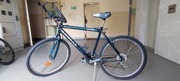 Rower górski MTB męski