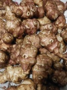 Kukurydza zanęta dla ryb 12 kg Topinambur konsumpcja 5kg