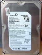 Seagate 250GB 7200RPM SATA2 ST3250624AS