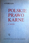 Polskie prawo karne w zarysie