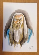 Akwarela A5 obrazek Harry 