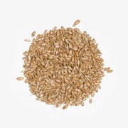 Poduszka z łuską orkiszu  40x40 z poszewką 