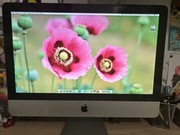 iMac 21,5 2010rok