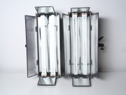 Lampa światła ciągłego Lishuai z wrotami 2 szt.