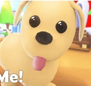 WSZYSTKIE PETY W AM | SPRZEDAM KAZDEGO PETA W ADOPT ME!