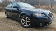 Audi A3 8P 2.0TDI 170hp S-line 