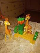 Lego duplo zyrafy