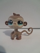 Littlest Pet Shop LPS małpa