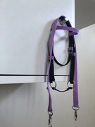 Ogłowie dla hobby horse A3 z wodzami