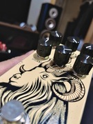Walrus Audio Eons Fuzz - genialny przester do synthów i gitar