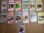 nr2 Karty Super Zwierzaki podwójne MEMO/PIOTRUŚ