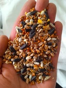 Pokarm dla dzikich ptaków zimujących 15kg karma do karmnika pasza dla kur