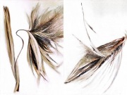 Obrazy olejne na płótnie 1980rok 50x65cm. Odbiór Łódź 