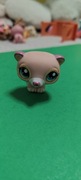 Littlest pet shop  fretka #1624