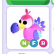 Dodo NFR - Roblox Adopt Me