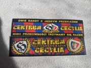 Vlepki Piast Gliwice Centrum Cecylia #2