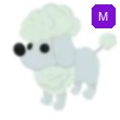 Poodle Adopt Me AM